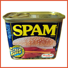 Confessions of a Google Spammer
